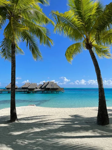 Water Bungalows Tahiti — Stok fotoğraf