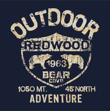 Açık hava macerası