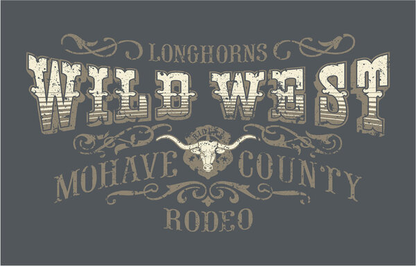 Wild west rodeo