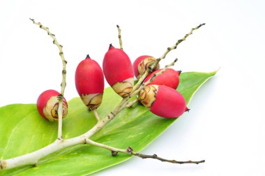 yeşil yaprak üzerinde kırmızı meyveler