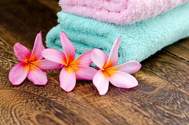 pembe plumeria düzenlenmesi