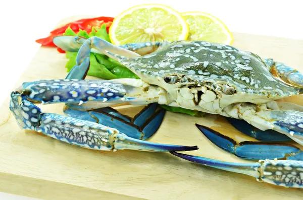 Close up fresh raw crab — Stock Photo, Image