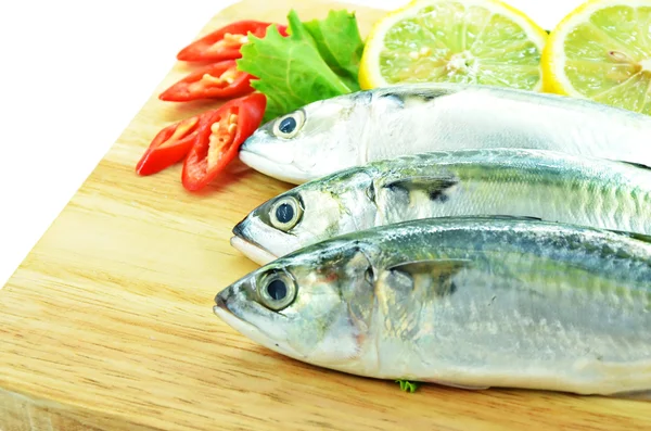 Close up fresh raw mackerel — Stock Photo, Image