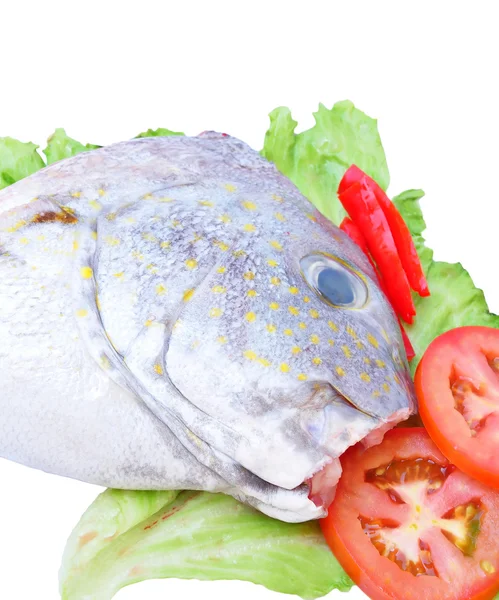 Fresh head Fish — Stock Photo, Image