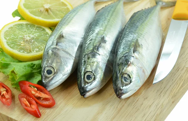 Fresh raw mackerel — Stock Photo, Image