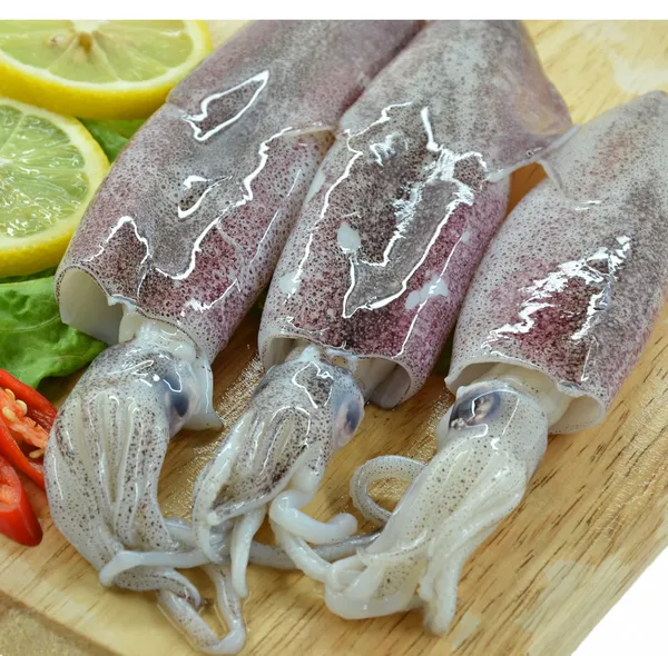 Fresh raw calamari — Stock Photo, Image