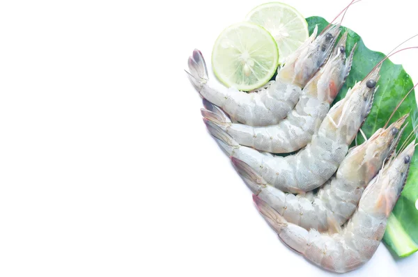 Gambas — Foto de Stock