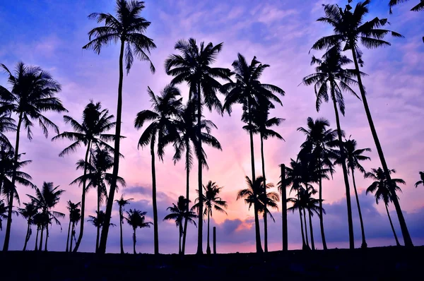 Belo nascer do sol e céu colorido — Fotografia de Stock