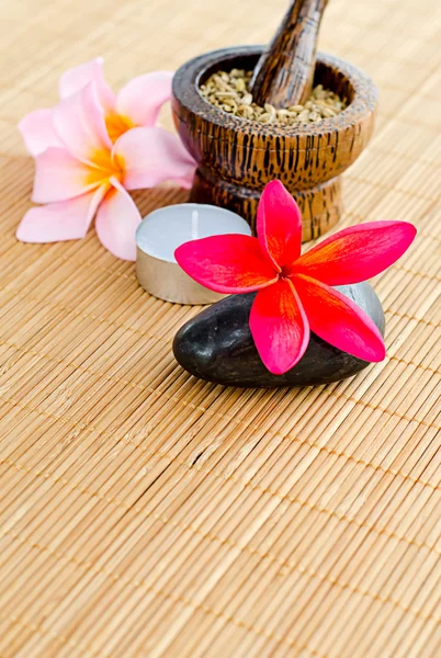 Red plumeria flower — Stock Photo, Image