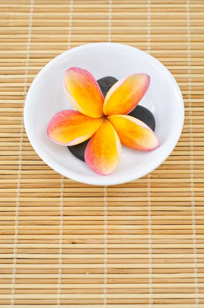 Frangipani flower — Stock Photo, Image