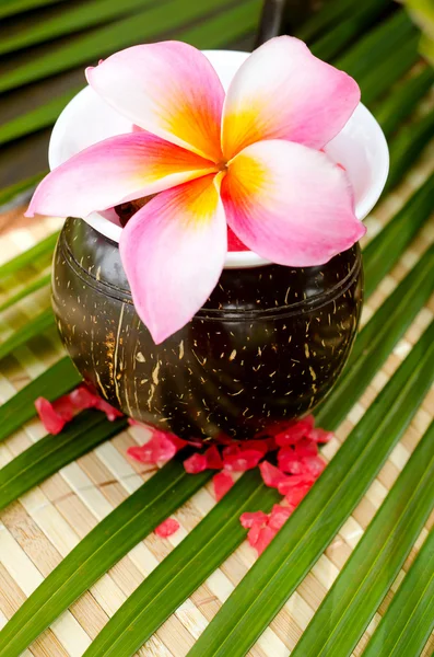 Pink flower on bowl — Stock Photo, Image