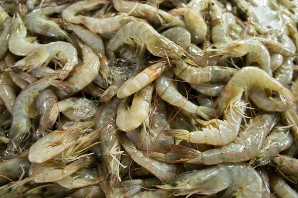 Raw prawn — Stock Photo, Image