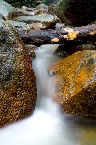 緑の森と滝 - モーションが遅い滝 — ストック写真