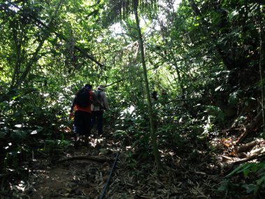 yürüyüşçüler - grup insanlar nuang Dağı'na hiking. pahang, Malezya, Asya janda baik köyden izleme.