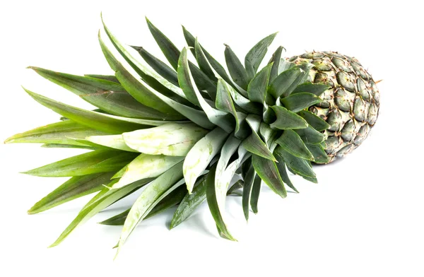 Ananas su sfondo bianco con percorso di ritaglio — Foto Stock