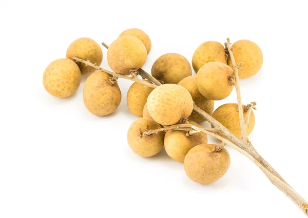 Longan geïsoleerd op een witte achtergrond — Stockfoto