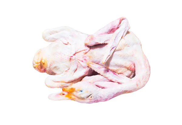 Rohe Ente isoliert auf weißem Hintergrund mit Clipping-Pfad — Stockfoto