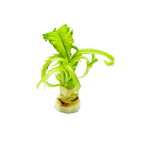 Sculpture sur légumes, style thaï sculpté sur feuille de navet isolé — Photo