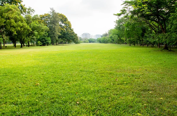 Campo de grama verde no parque da cidade grande — Fotografia de Stock