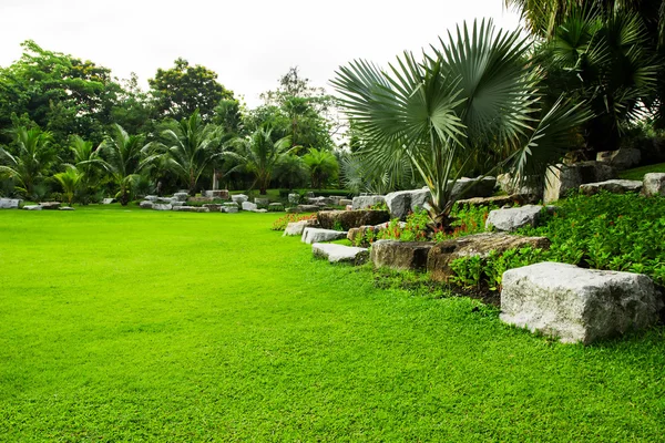 Groen grasveld in park — Stockfoto