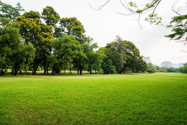Zelené travnaté hřiště v parku velkoměsta — Stock fotografie
