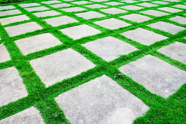 Croissance de l'herbe verte entre passerelle de ciment — Photo