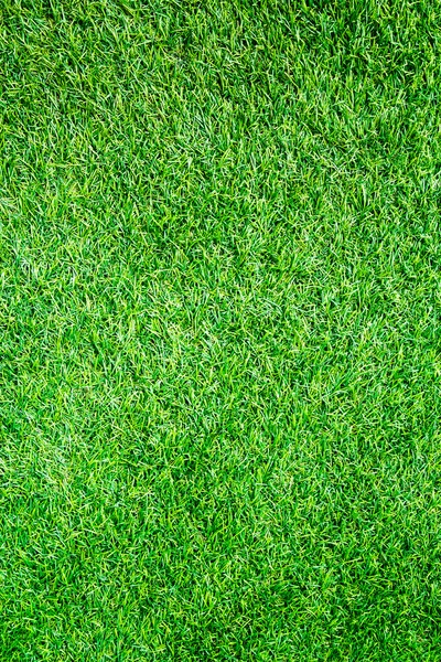 Artificial Grass Field Top View Texture — Stock Photo, Image