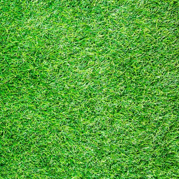 Artificial Grass Field Top View Texture — Stock Photo, Image