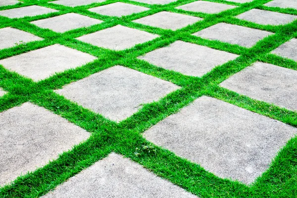 Croissance de l'herbe verte entre passerelle de ciment — Photo