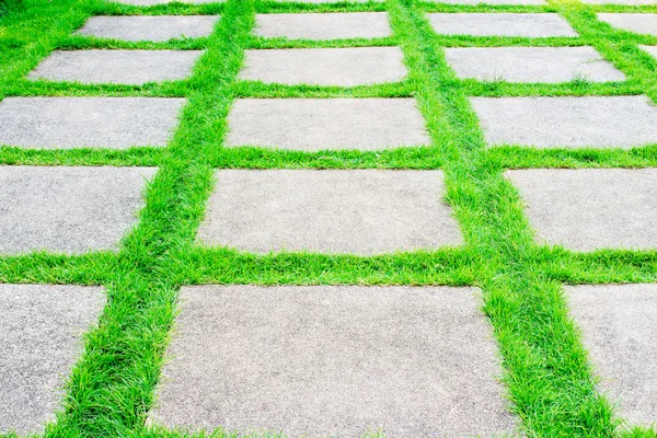 Зеленая трава растет между цементной дорожкой Стоковая Картинка