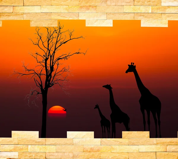 Parede de tijolo com silhuetas de tema safári Africano atrás — Fotografia de Stock