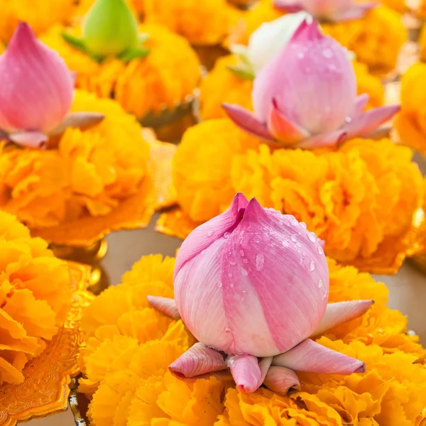 Reihe von Lotus und gelben Blumengirlanden auf Tablett mit Sockel in — Stockfoto