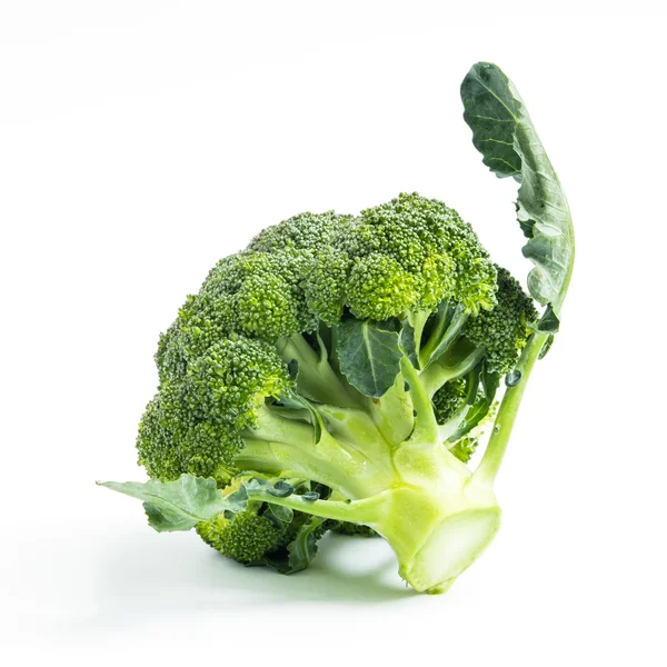 Broccoli plantaardige geïsoleerd op witte achtergrond — Stockfoto