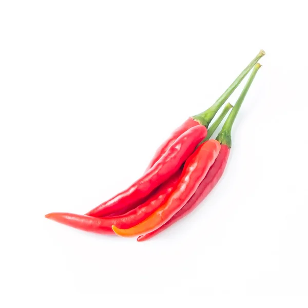 Scharfe rote Chili- oder Chilischote isoliert auf weißem Hintergrund — Stockfoto