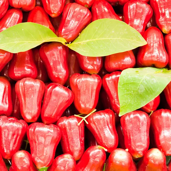 Red rose apple — Stockfoto