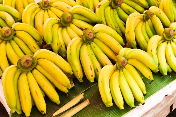 Reihen gelber Bananen — Stockfoto