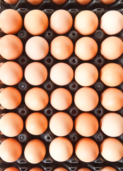ボックスに多くの茶色の卵. — ストック写真