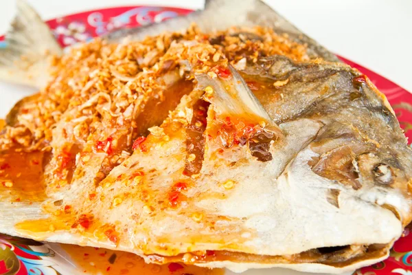 Gebratenen Fisch mit Sauce, sauer und würzig auf weißem Teller, Thai-Stil f — Stockfoto