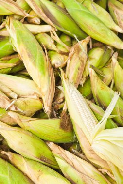 taze Mısır sebze yığını.