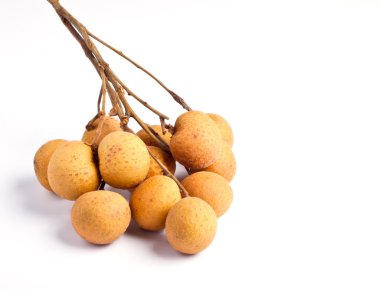 Beyaz bir arka plan üzerinde izole longan