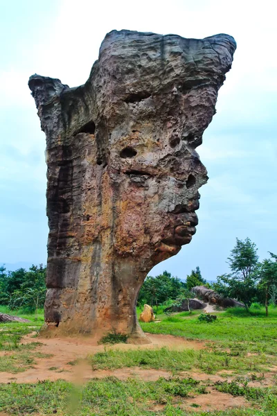 Cara de piedra, La increíble roca en el Parque Nacional, Chaiyaphum-Thail —  Fotos de Stock