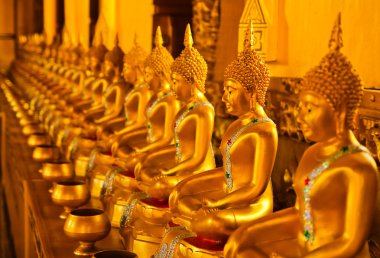 Tayland Tapınağı'nda altın Buda heykelinin satır.