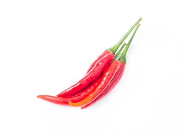 Varm röd chili eller chili peppar isolerad på vit bakgrund — Stockfoto