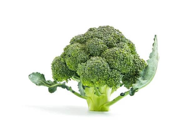 Beyaz arka plan üzerinde izole brokoli sebze — Stok fotoğraf