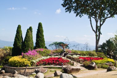 beautyful Bahçe Dağ ve mavi gökyüzü