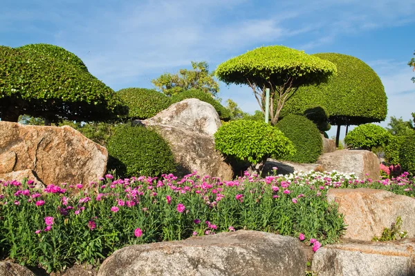 Den blå himlen och färskt grönt i parken — Stockfoto