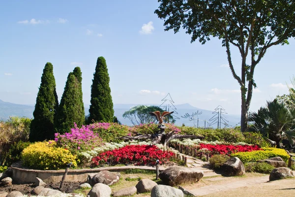 The beautyful garden on the mountain and the blue sky — Stock Photo, Image