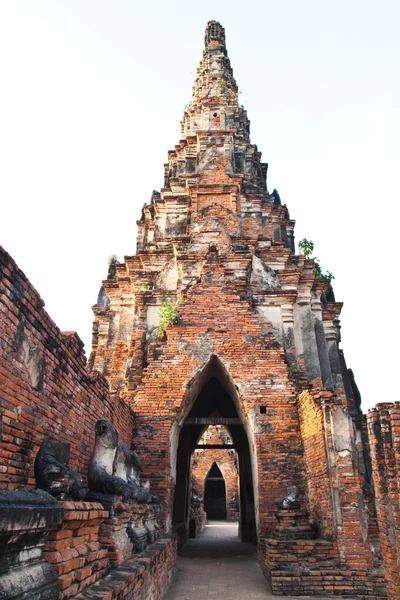 Ancient pagoda-Ayutthaya Thailand — Stock Photo, Image