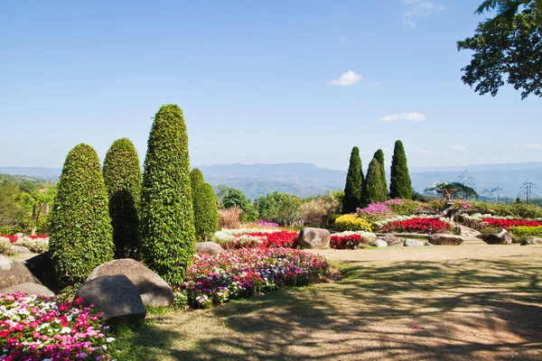 Der wunderschöne Garten auf dem Berg und der blaue Himmel — Stockfoto