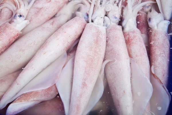 Verse inktvis op Vismarkt, ten oosten van thailand — Stockfoto